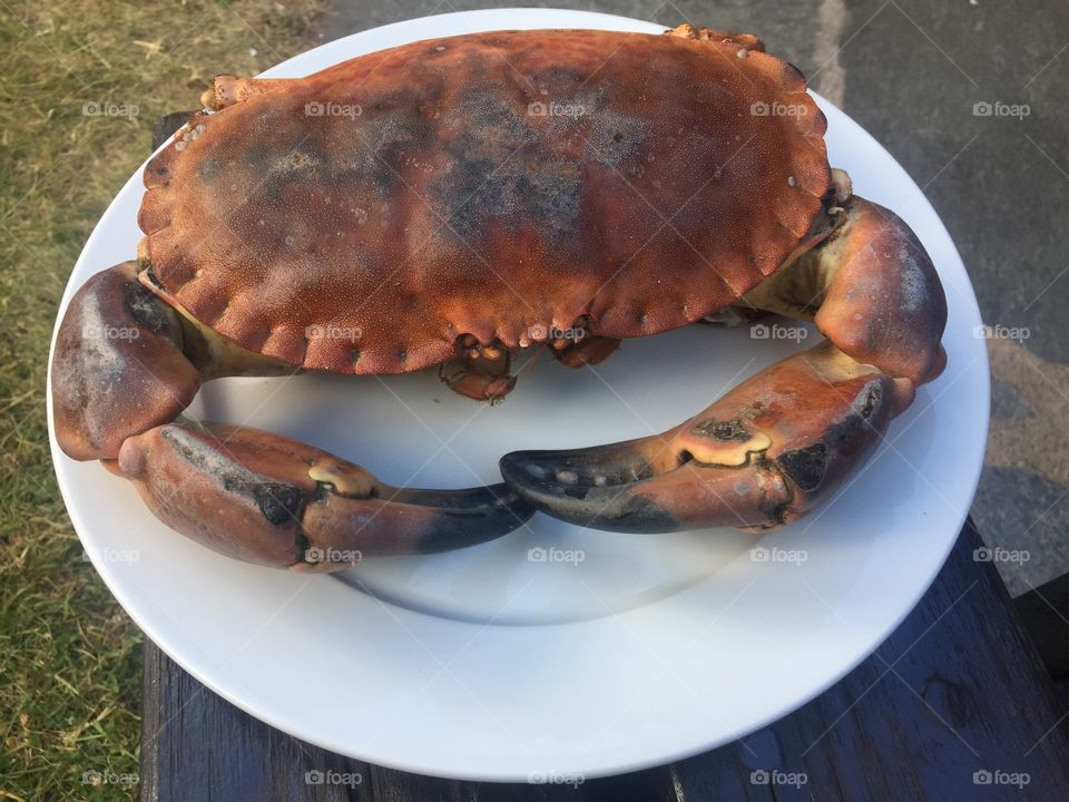 Crab for dinner. 