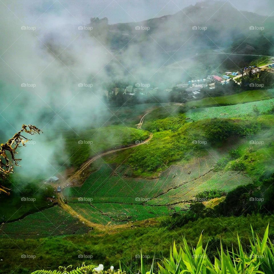 Green valley on the way down from the summit of Phu Tabberk in Phetchabun, Thailand 🇹🇭