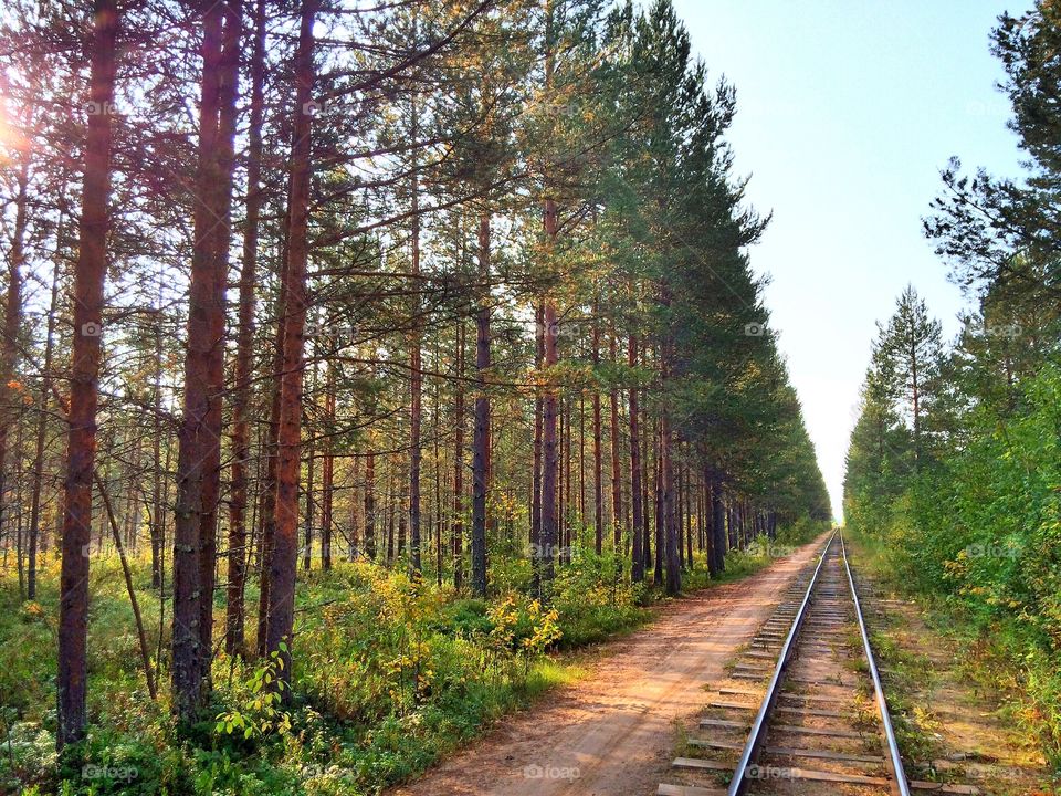 Railway track in autumn forest, Russia, 