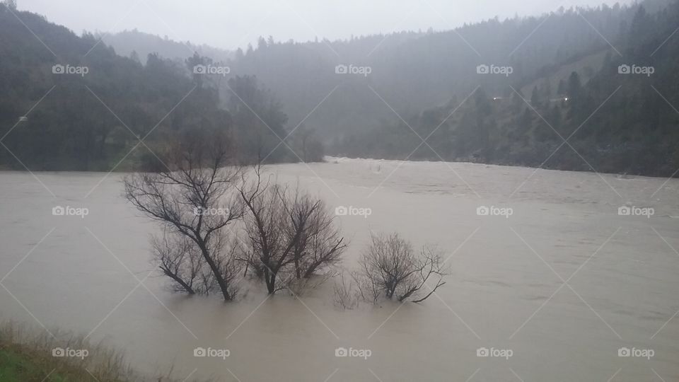 Keeping my head above water