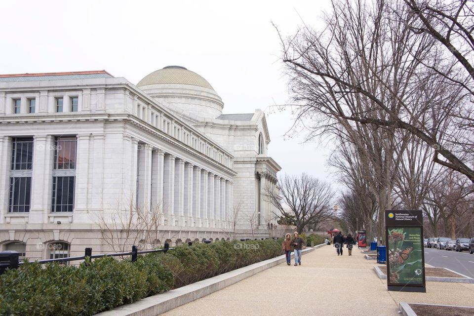 DC Museum 