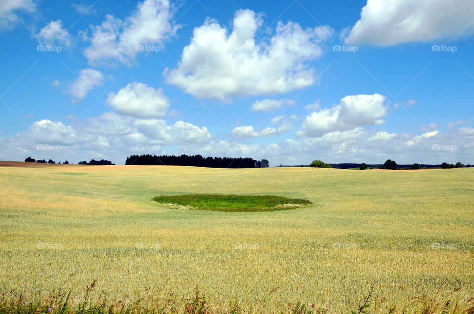 Fields of the crops, landscape of the Mazurian region in Poland