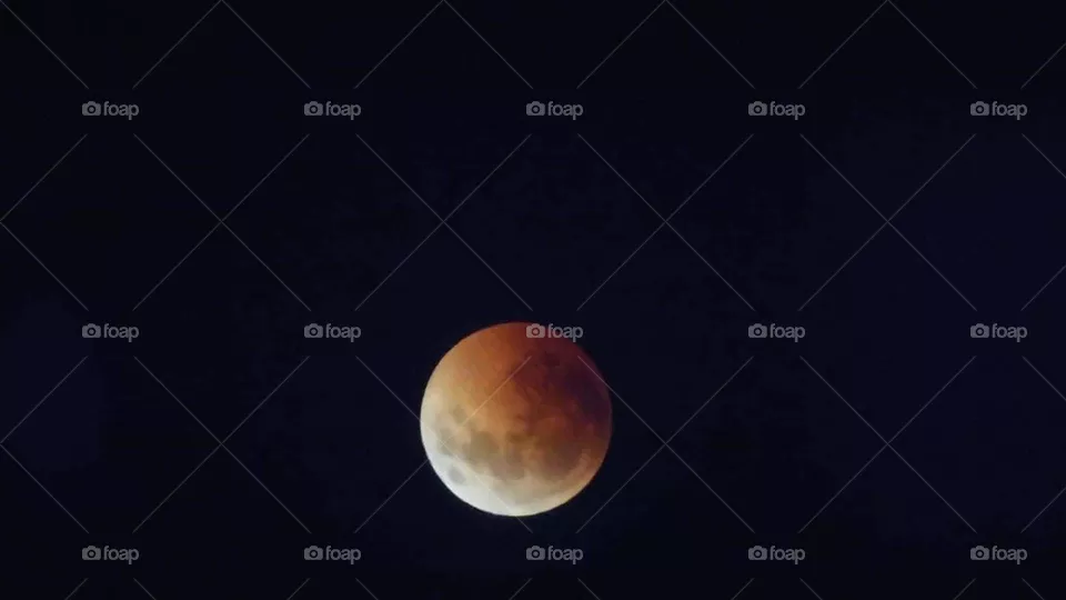 Bloodmoon.