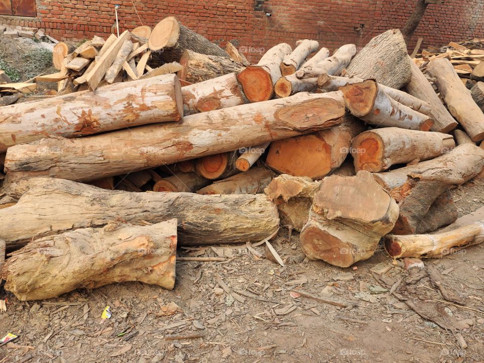 wood logs