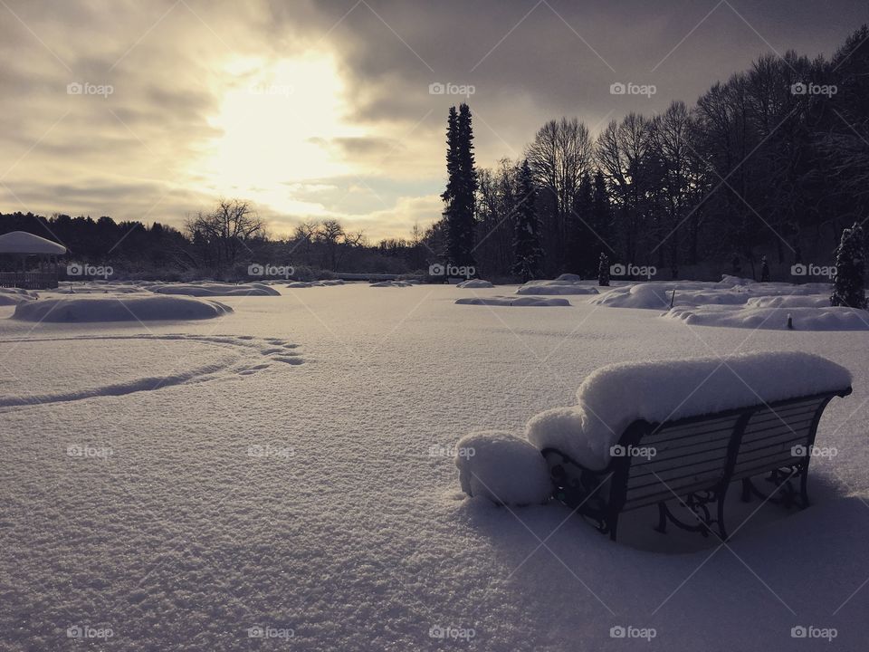 Snow, Winter, Cold, Frozen, Ice