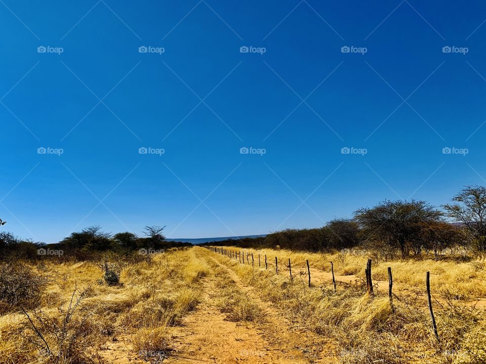 Car track pathway next to the fence on a farm