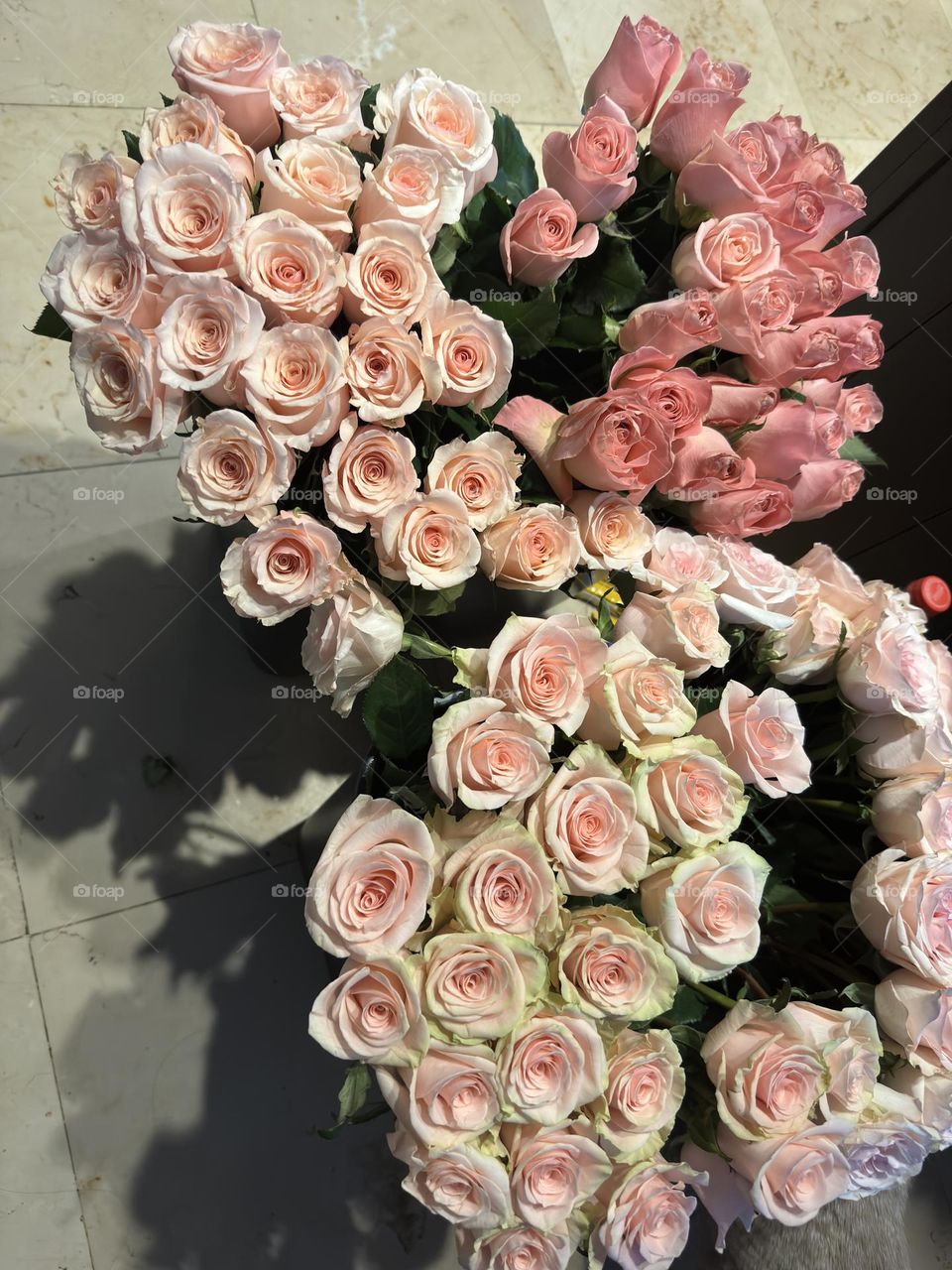 Hermosas rosas