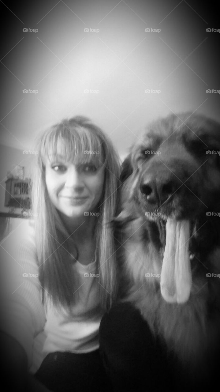 Piper Yawning. girl with Leonburger dog yawning. 