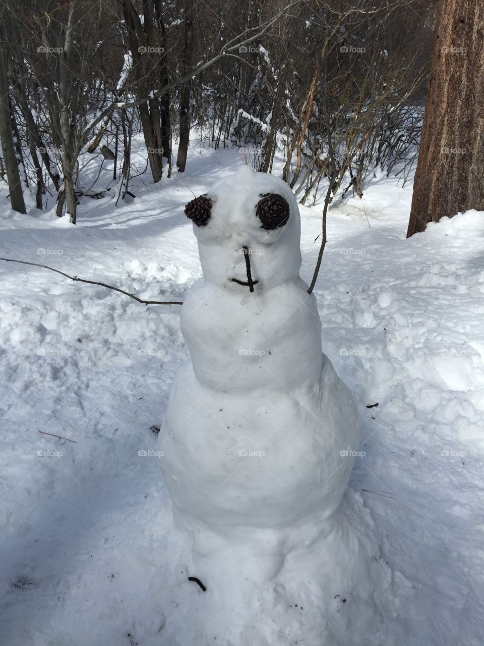 Mr. Snowman