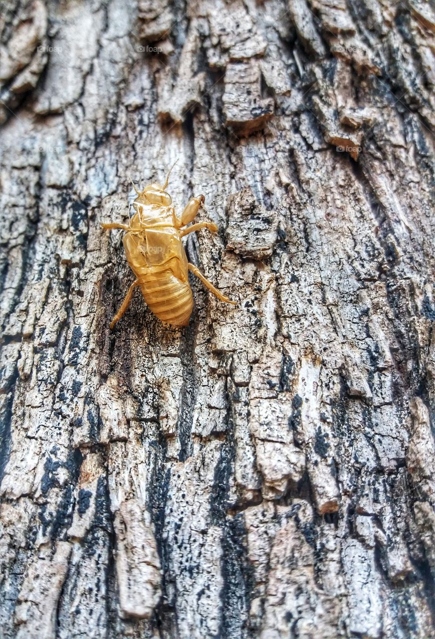 Fall is finally here♡