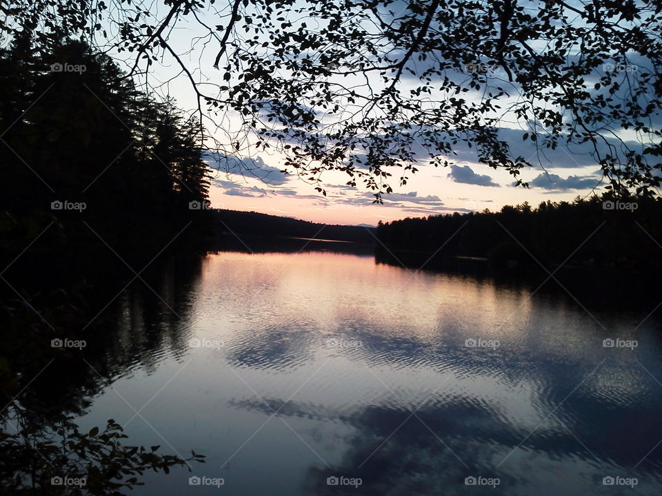 Landscape, Tree, Reflection, Lake, Water