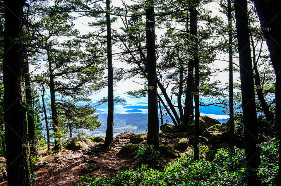 Scenic view of nature