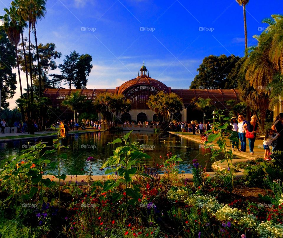 Balboa park