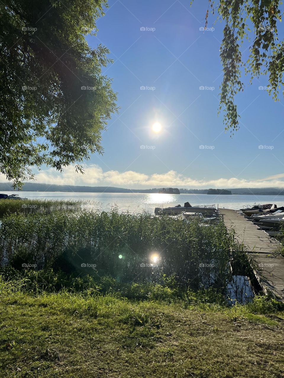 Summer in Sweden 🇸🇪