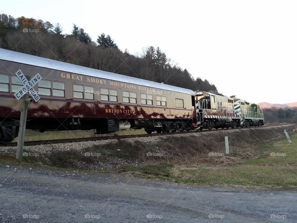 Great Smoky Mountains Railroad - Ela, North Carolina