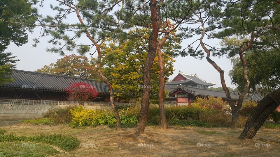 Changdeokgung Palace, Seoul, South Korea
