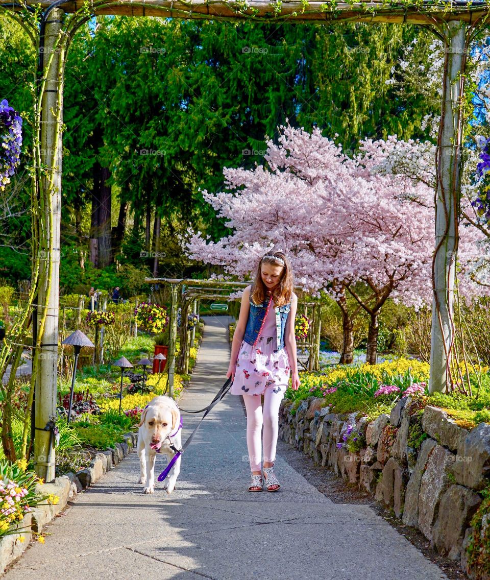 Walking my dog in a colourful garden of blossoms and blooms