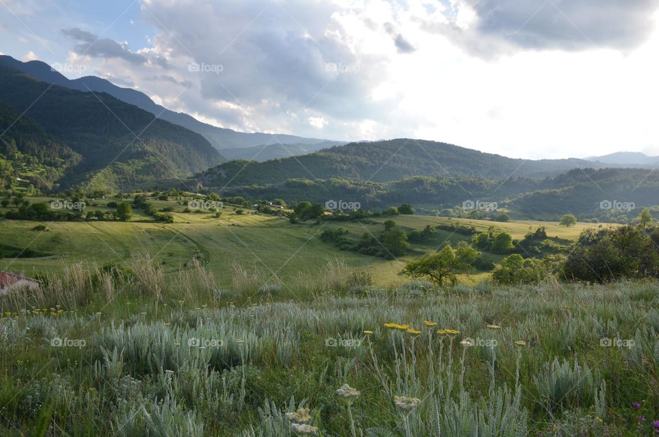 Rhodope Mountain, Bulgaria