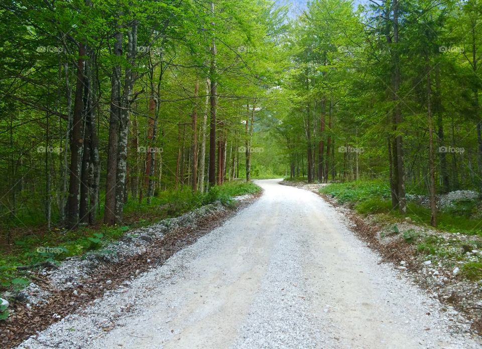 Mountain path