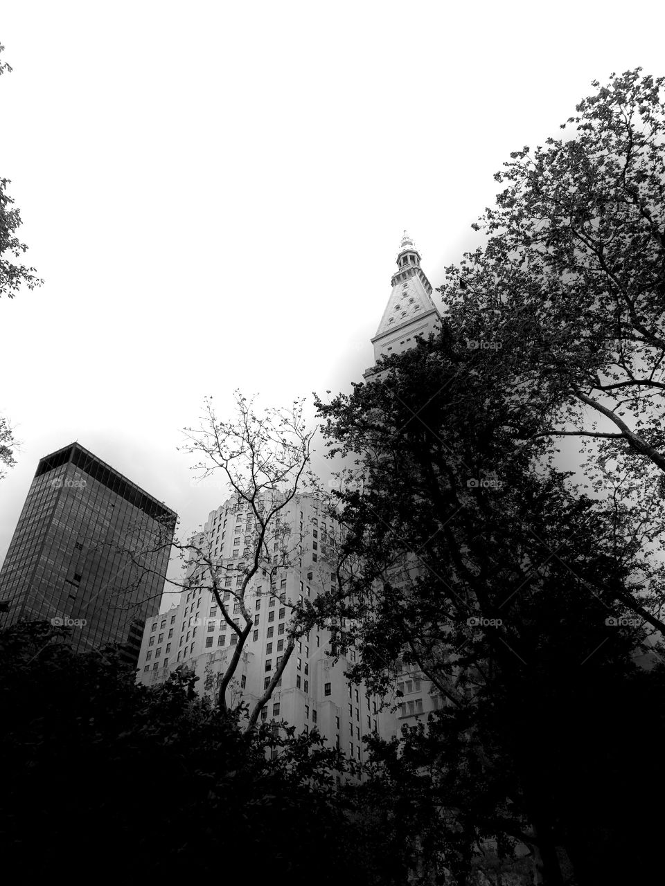 Monochrome, No Person, Tree, Architecture, Building