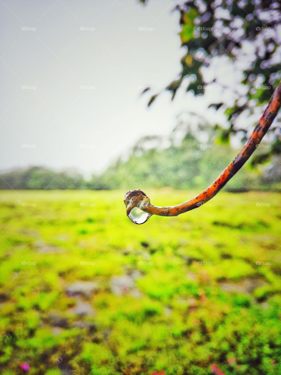 rainy drop capture