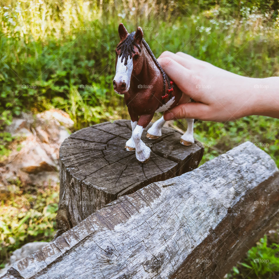 Beautiful Horse Toy on a Wooden Bridge in the Forest