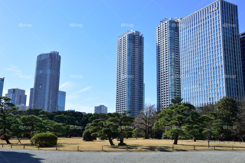 skyscraper in Tokyo