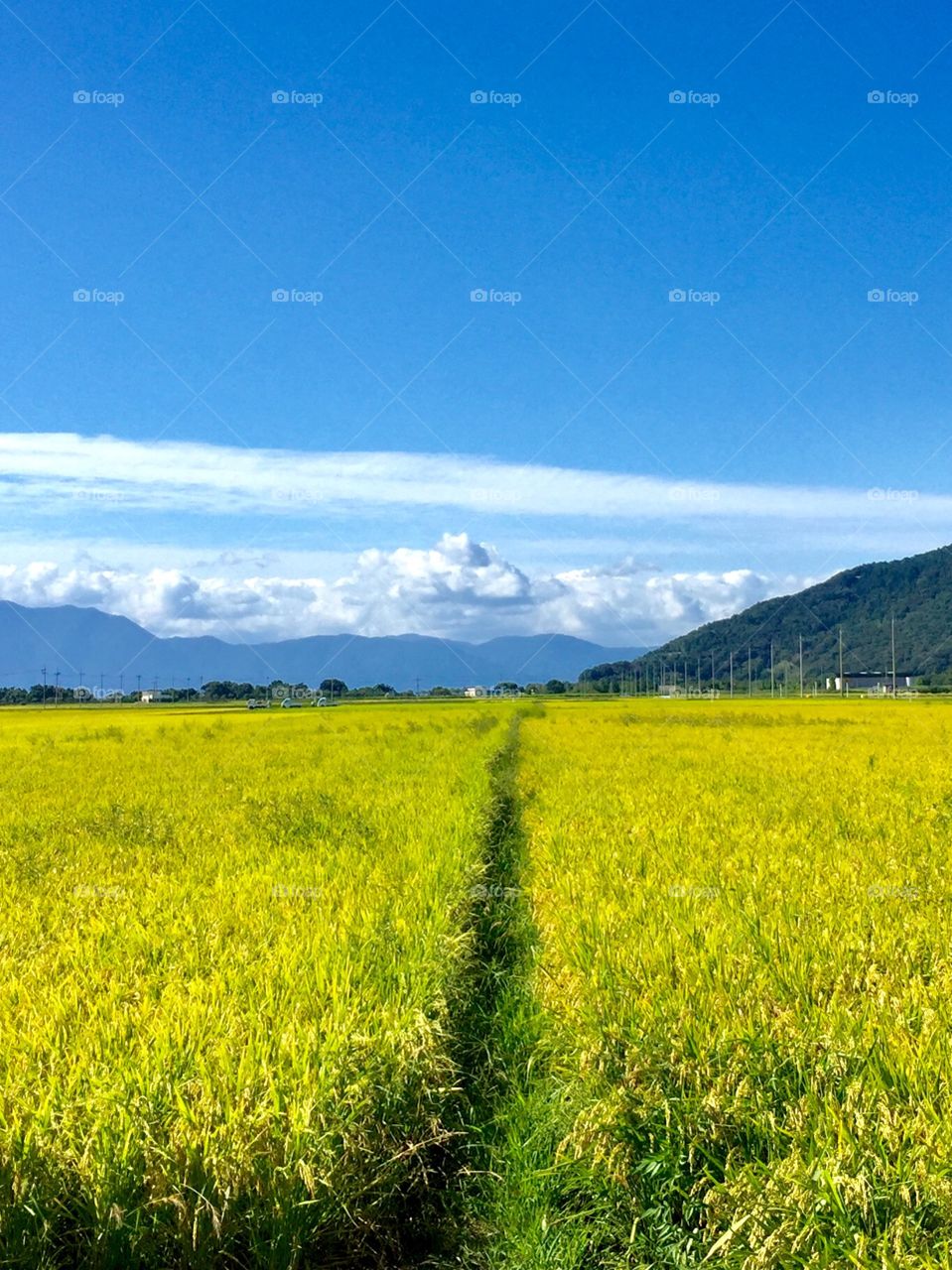 beautiful summer day