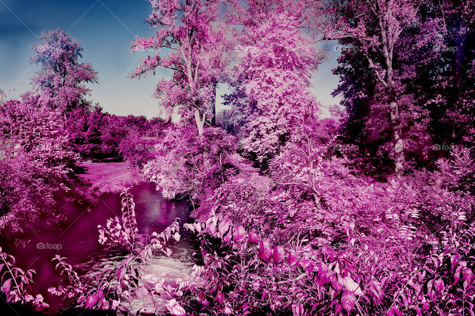 Faux Infra-Red foliage