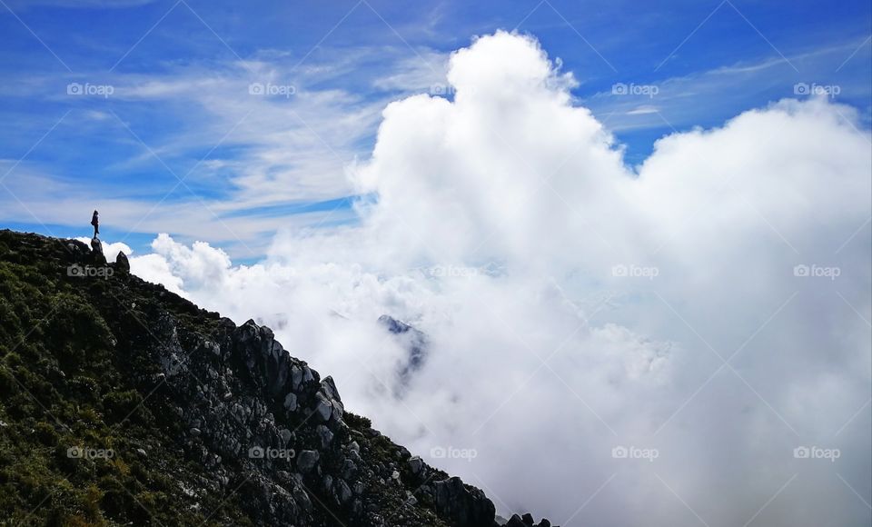 The Human and the Earth