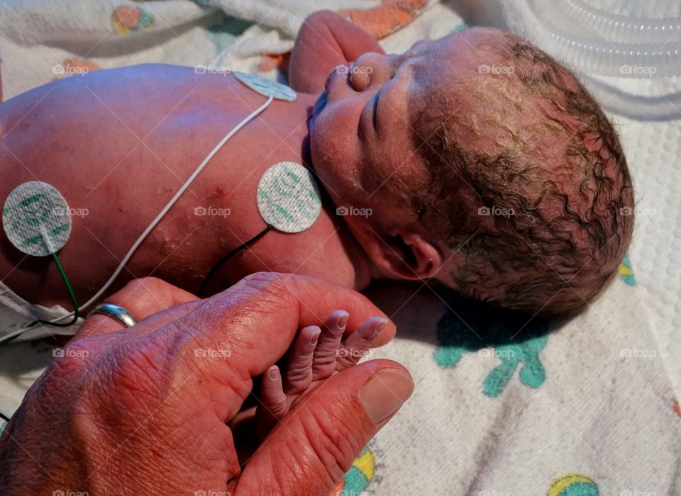 Holding A Premature Infant
