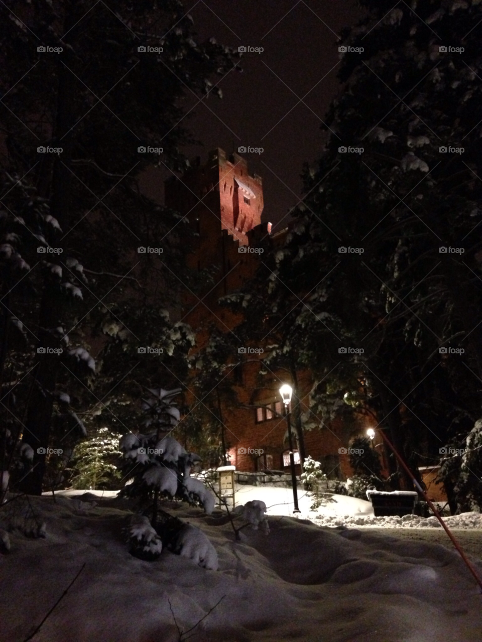 snow winter lamppost trees by MagnusPm