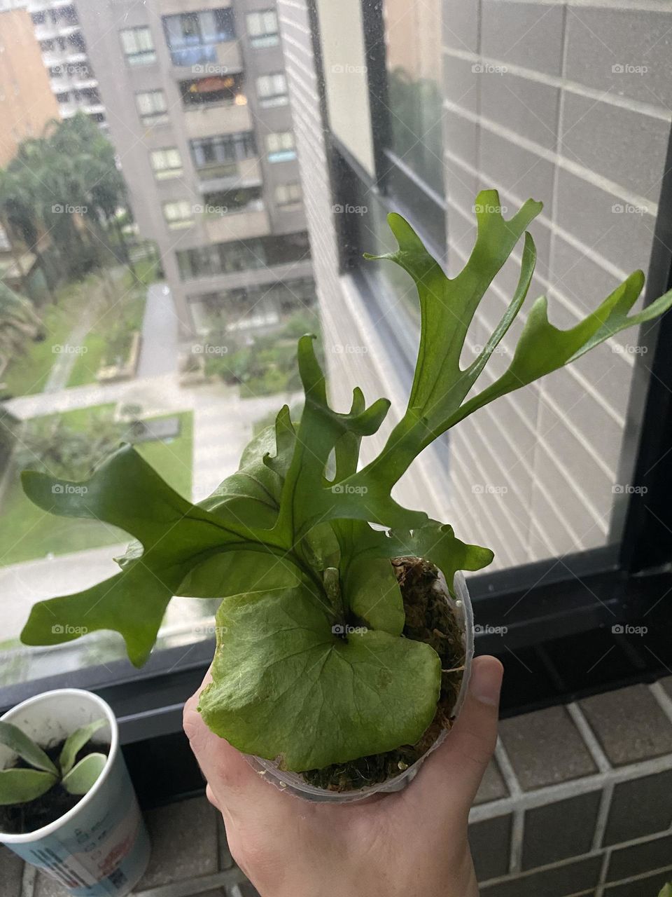 planting makes me happy