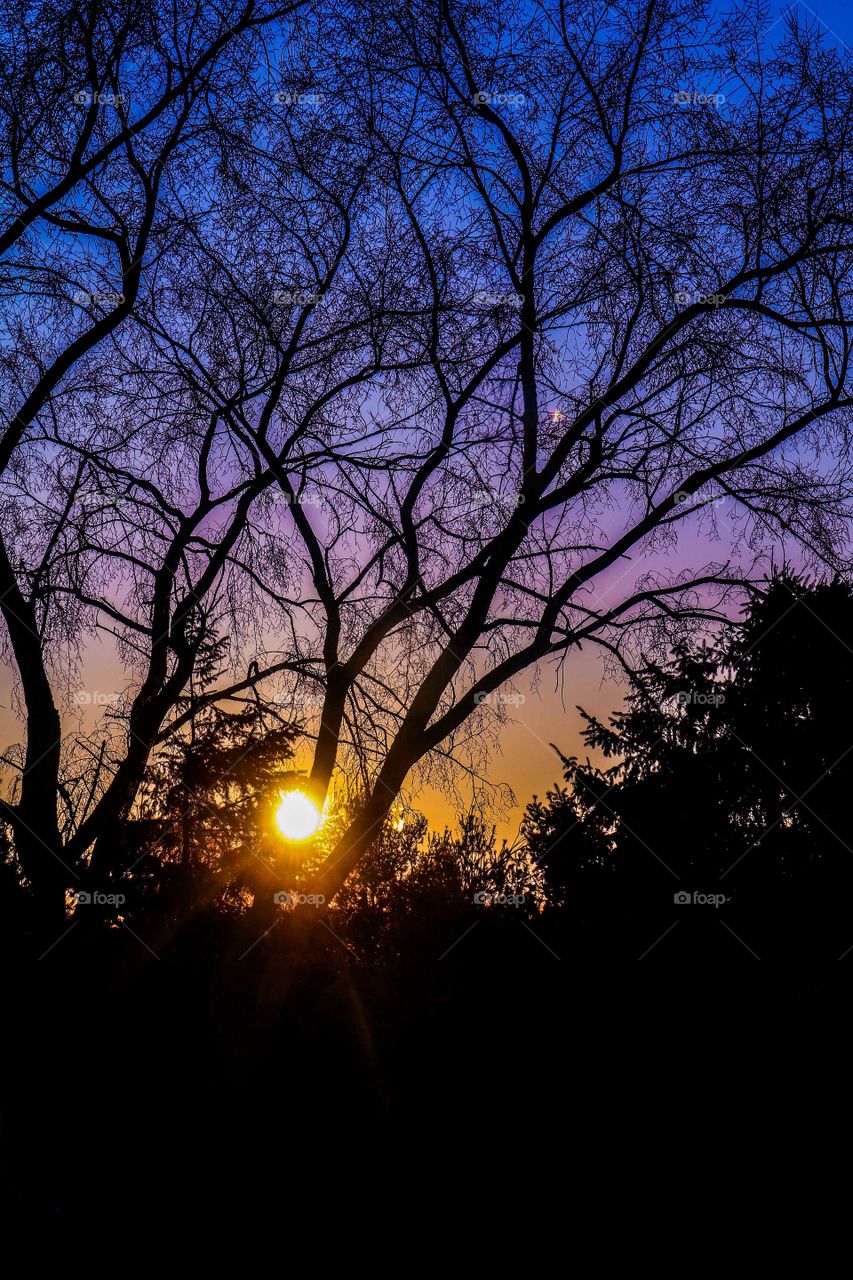 Beautiful Sunrise Capture