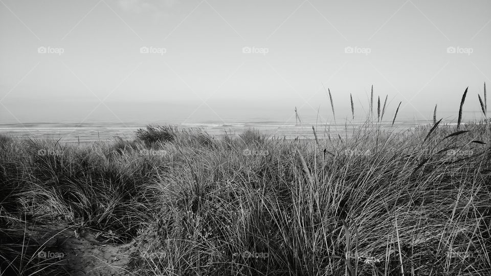 Pacific Northwest Seaside Ocean Newport Beach in Black and White