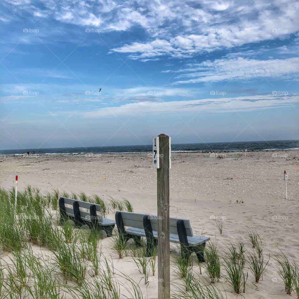 Sea grass on dunes along the seashore