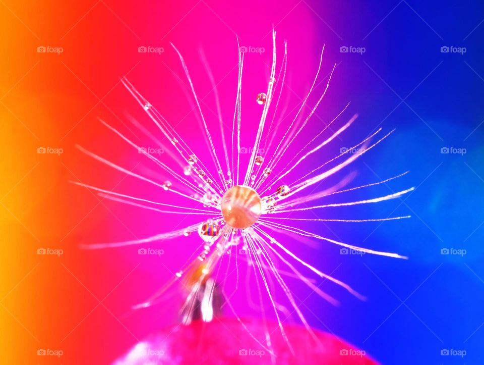 colorful water droplets