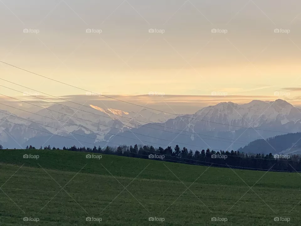 Swiss