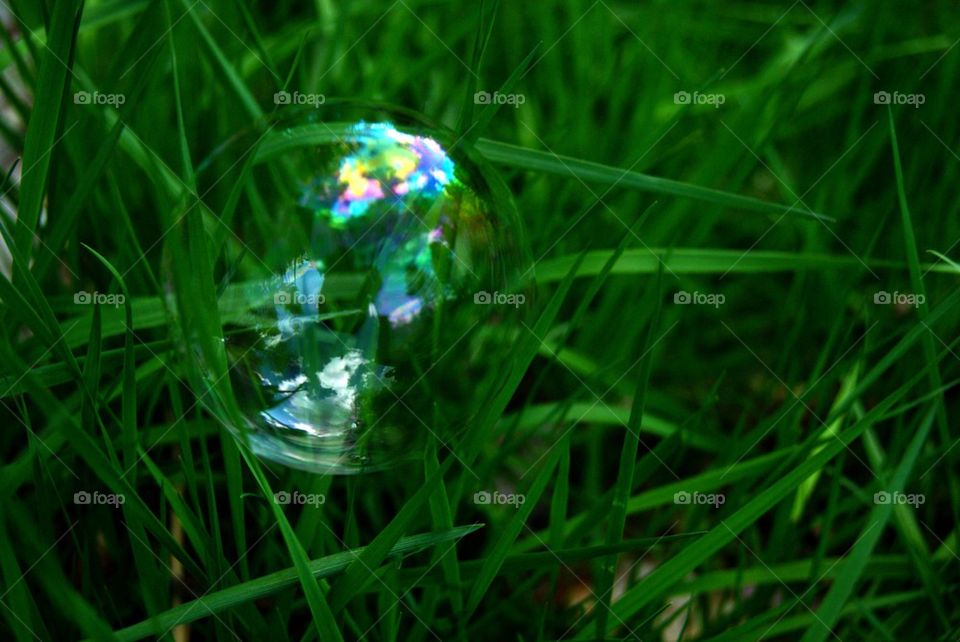 Delicate bubble 