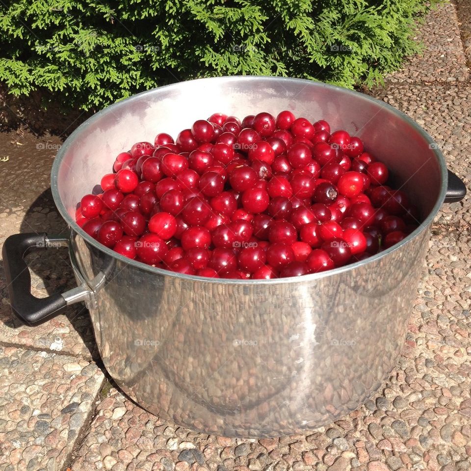 Cherries