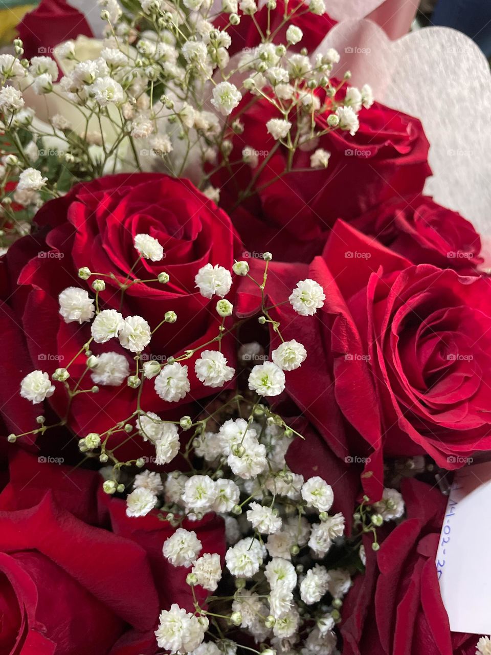 mix of beautiful red roses