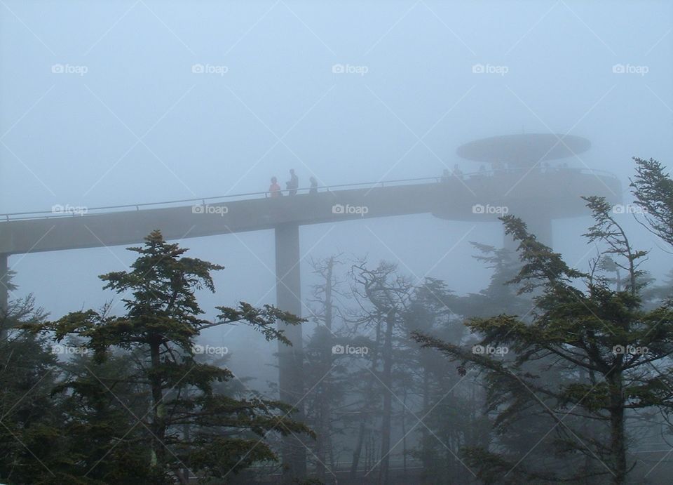 Foggy Clingman's Dome