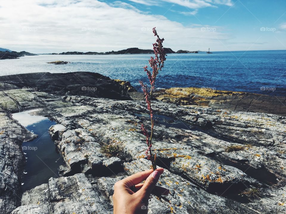 Close-up of a person's holding twig