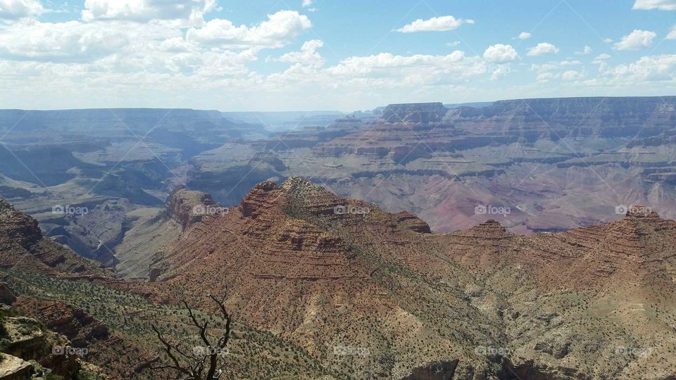 A view of the Grand Canyon