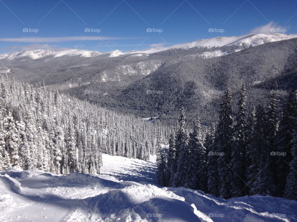 Snow, Winter, Mountain, Landscape, Wood