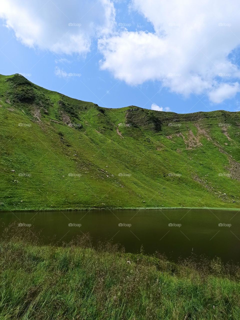 Your favourite travel destination
My beloved Carpathians. Green flower meadows. Cows with bells around their necks. Unforgettable trip across Ukraine. Mountains Dragobrat. Magnificent nature.