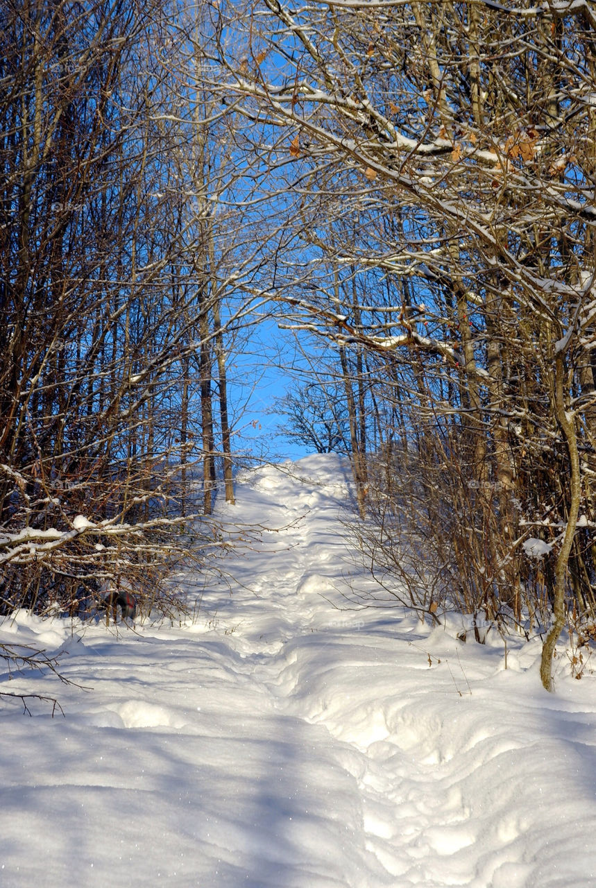 SNOW PATH
