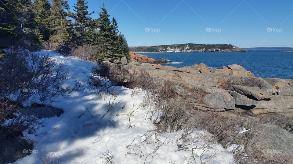 Great Head and Sand Beach in Acadia National Park