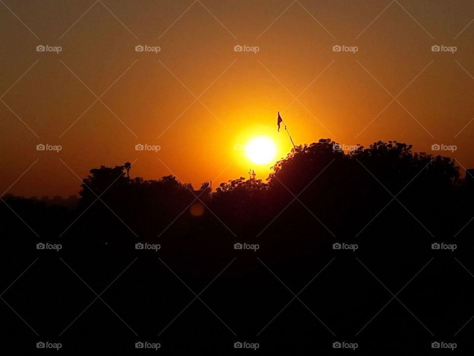 Silhouette of trees during sunset