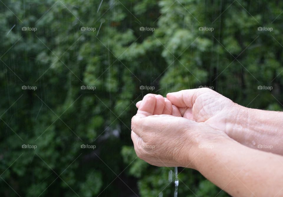 rain water drops in the hands green summer background rainy weather love